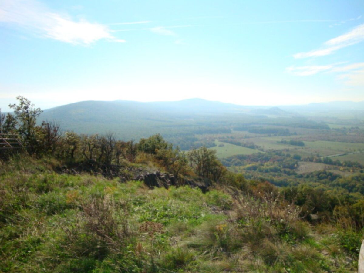 KÉP.FÖLD.TARCAL.0277.12