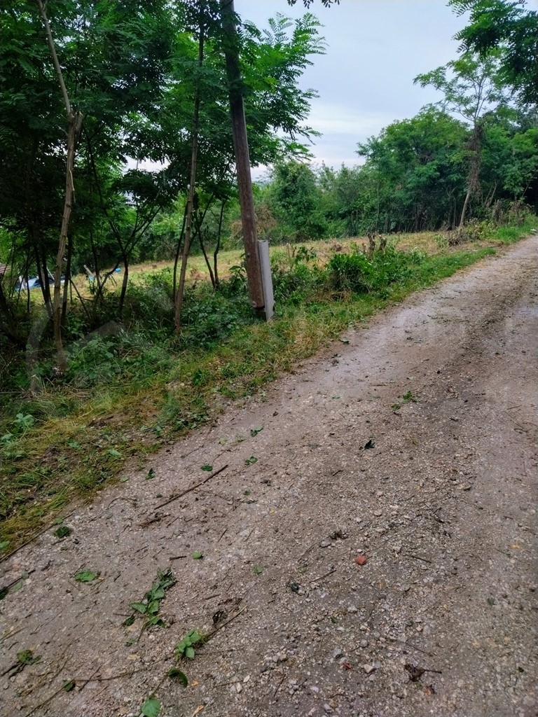 Miskolcon Győri kapu elején panorámás telek eladó!-1260080