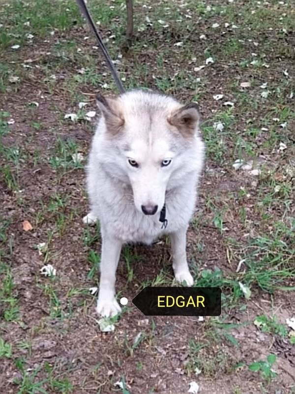 Edgár a panzióba 3