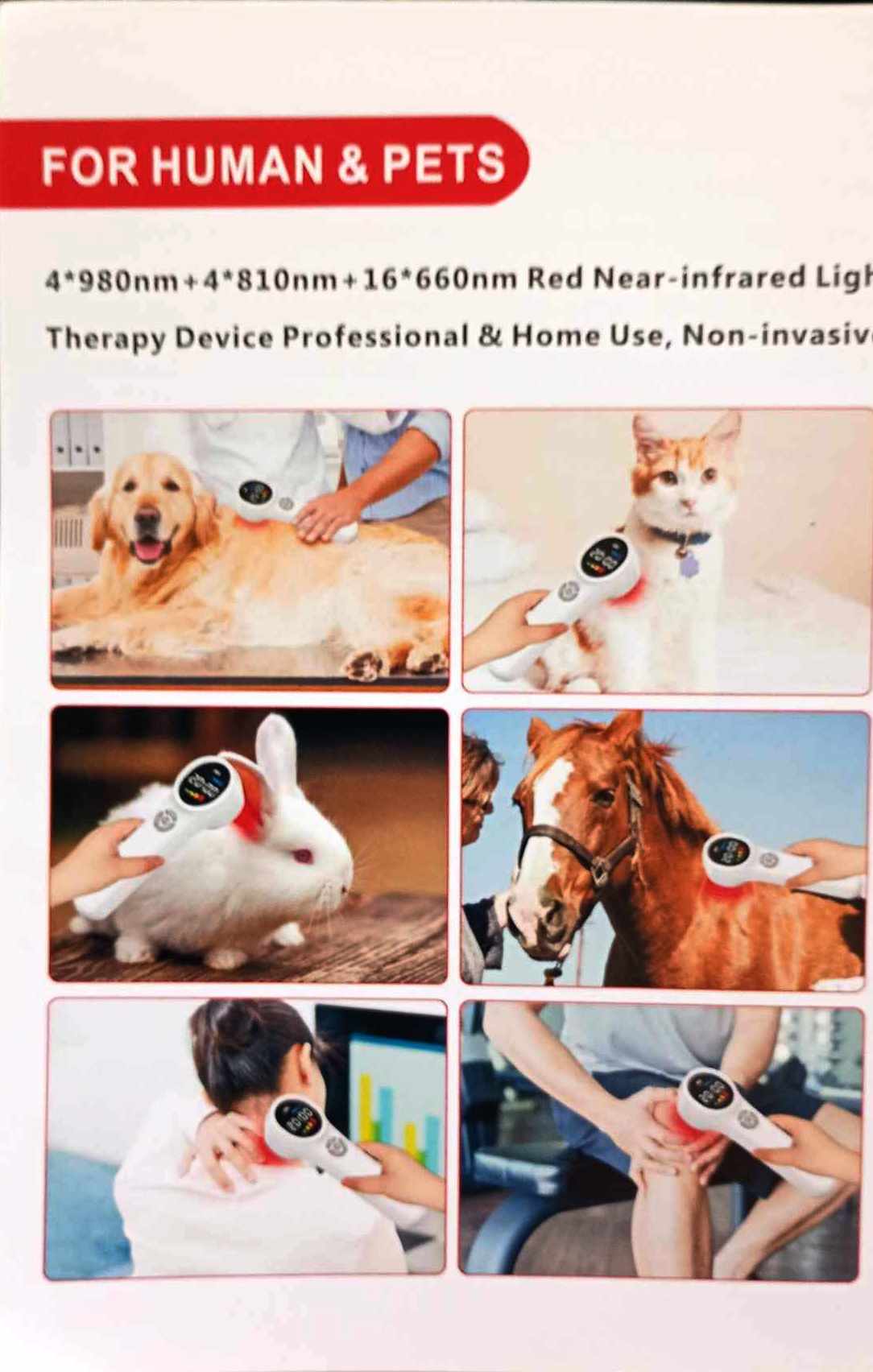 Ember - állatgyógyászati lézer