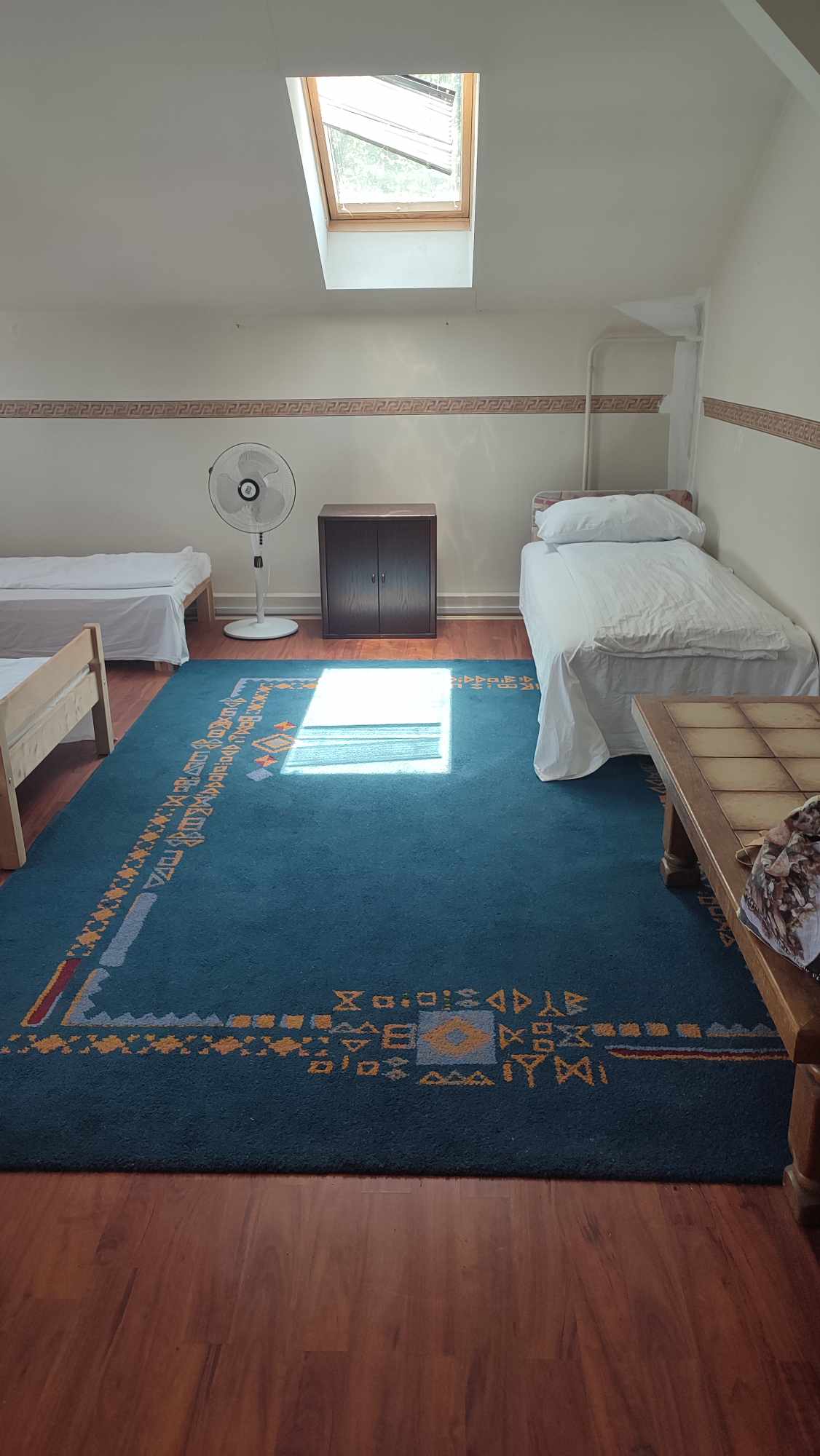 441951581_426133073702549_5911040697470363535_n