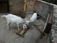 IMG_20251005_164505
