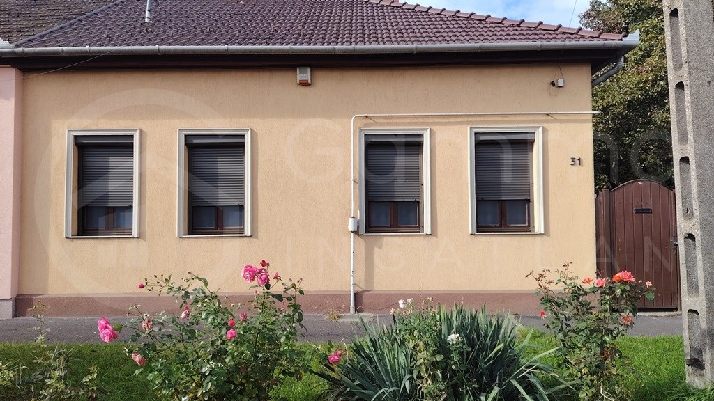 a Zsolcai Kapunál!-1402355