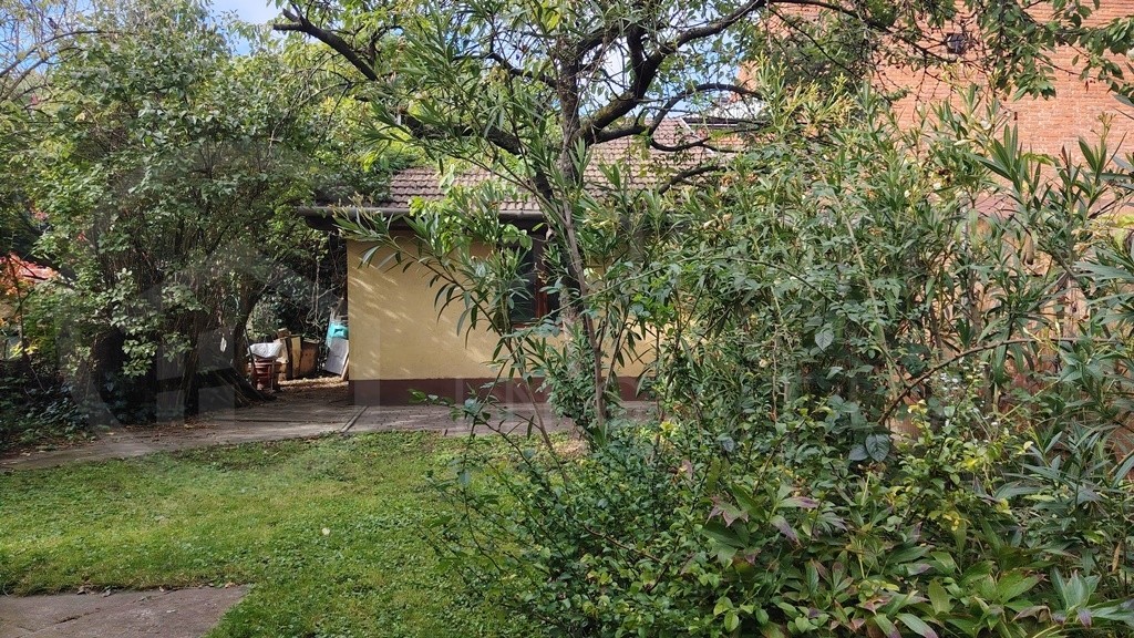 a Zsolcai Kapunál!-1402359