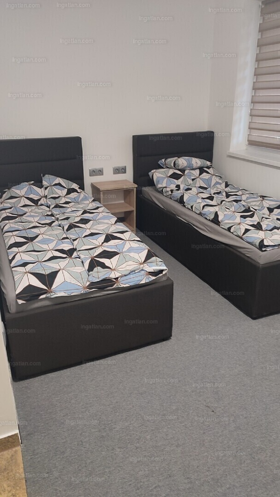 33947302_235718486_hd