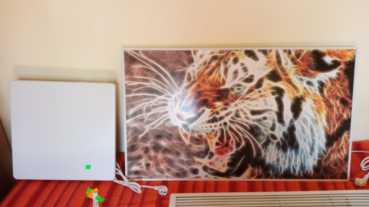 IMG_20250721_120819_611