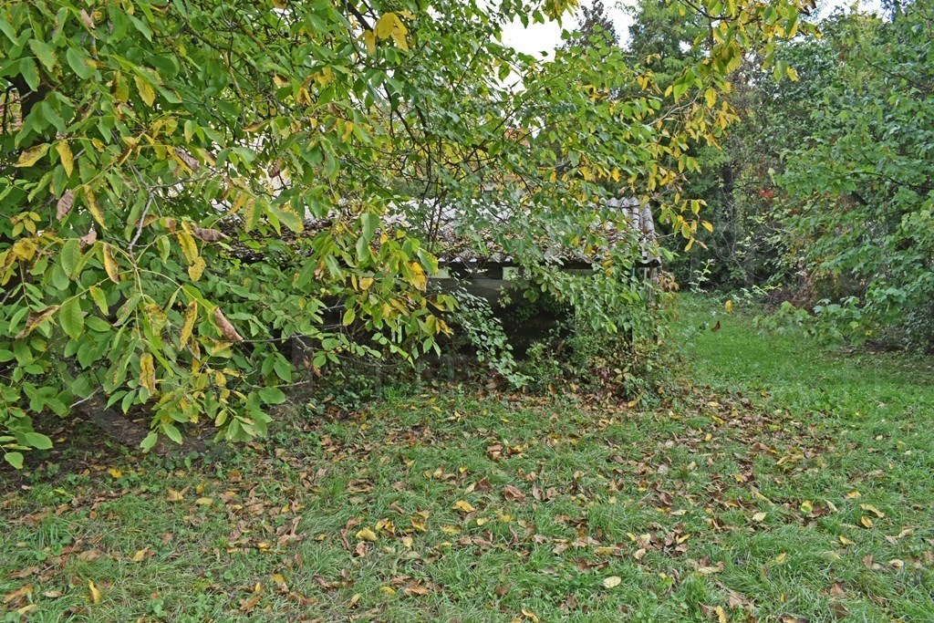 közvetlenül a főút mellett.-1399894