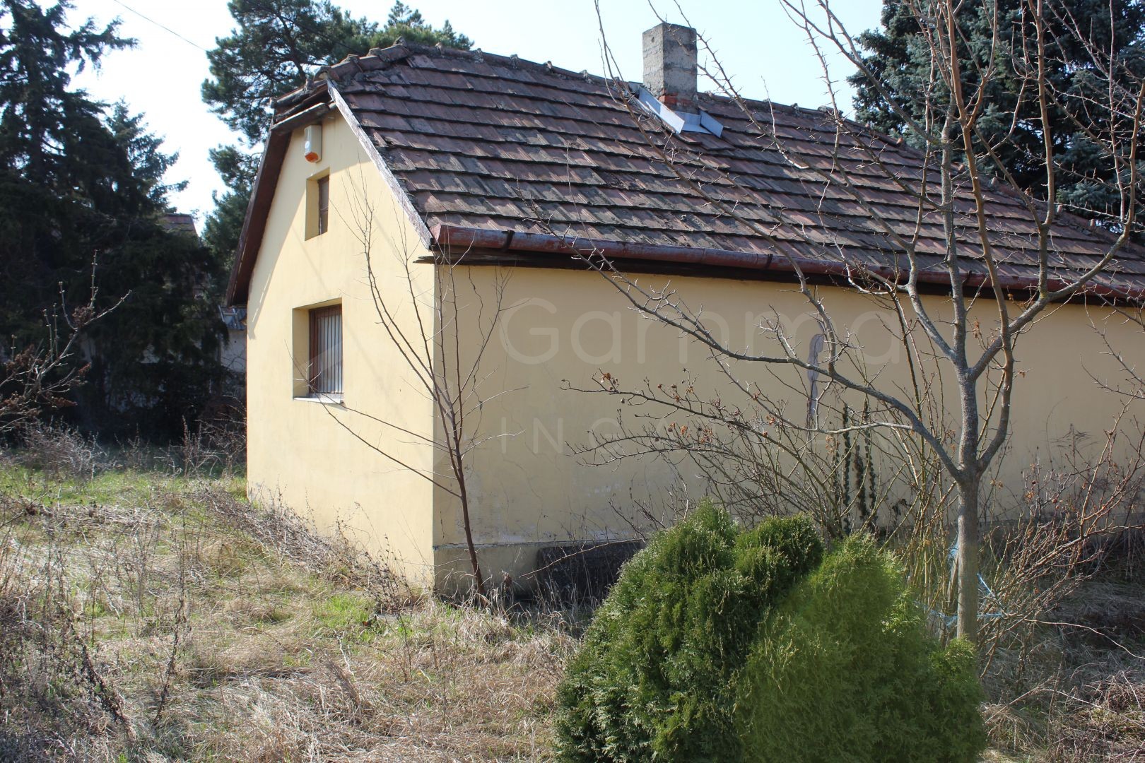 gymölcsös ELADÓ!-1437043