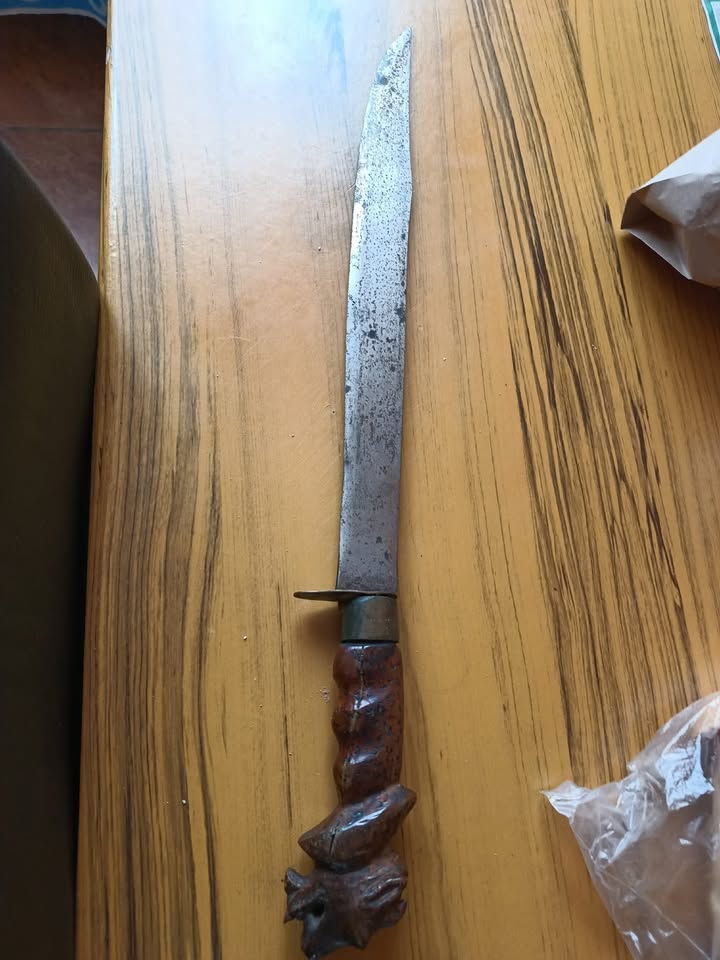 662096821_3137182979812679_7643390081785272113_n