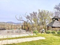 svabhegyi-kiado-garzon_51775651704