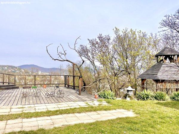 svabhegyi-kiado-garzon_51775651704