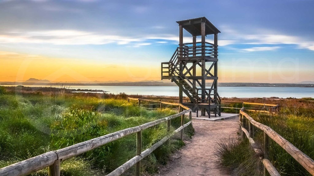 Tengerparti álom 50m-re a strandtól! Panorámás apartman Torreviejában – Teljes körű MAGYAR ügyintézéssel!-1463927