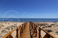 Tengerparti álom 50m-re a strandtól! Panorámás apartman Torreviejában – Teljes körű MAGYAR ügyintézéssel!-1463928