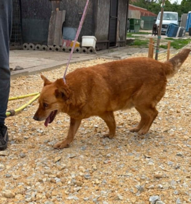 Barka 1
