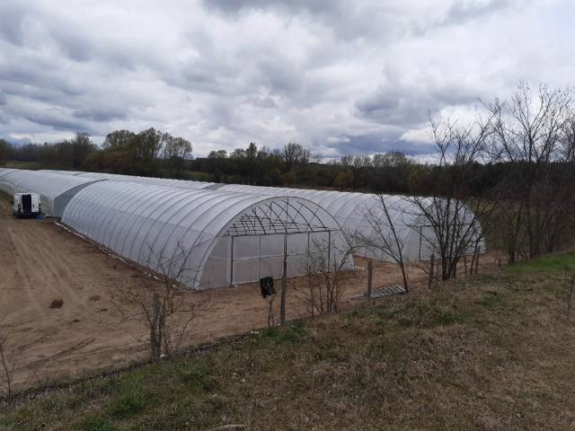 photo_foliasator-epitese_107059420 (1)