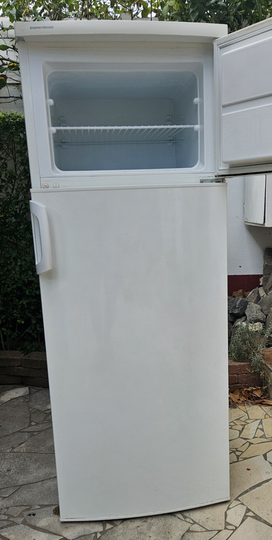 1000019646