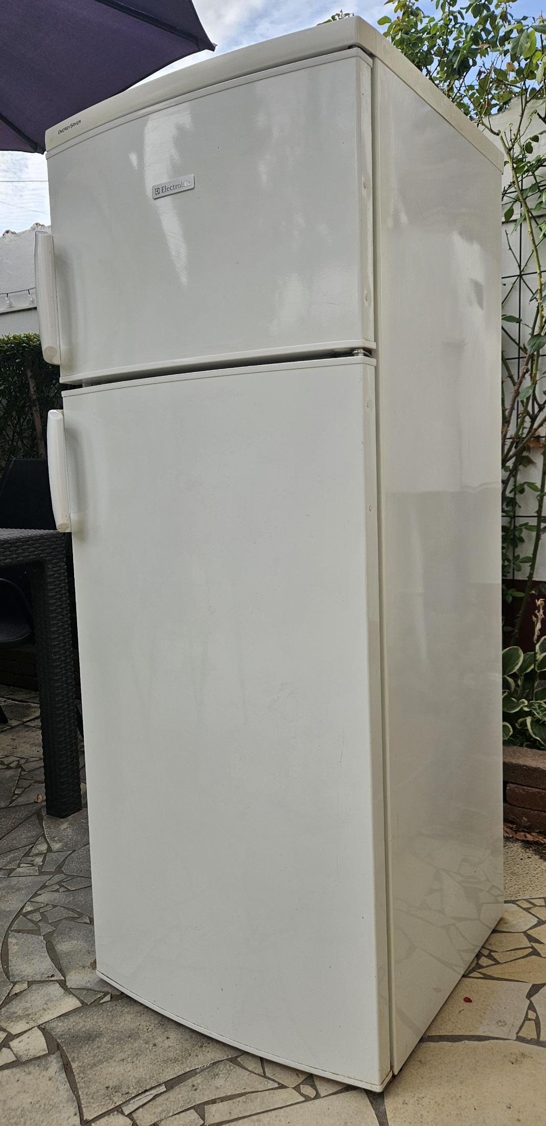 1000019643
