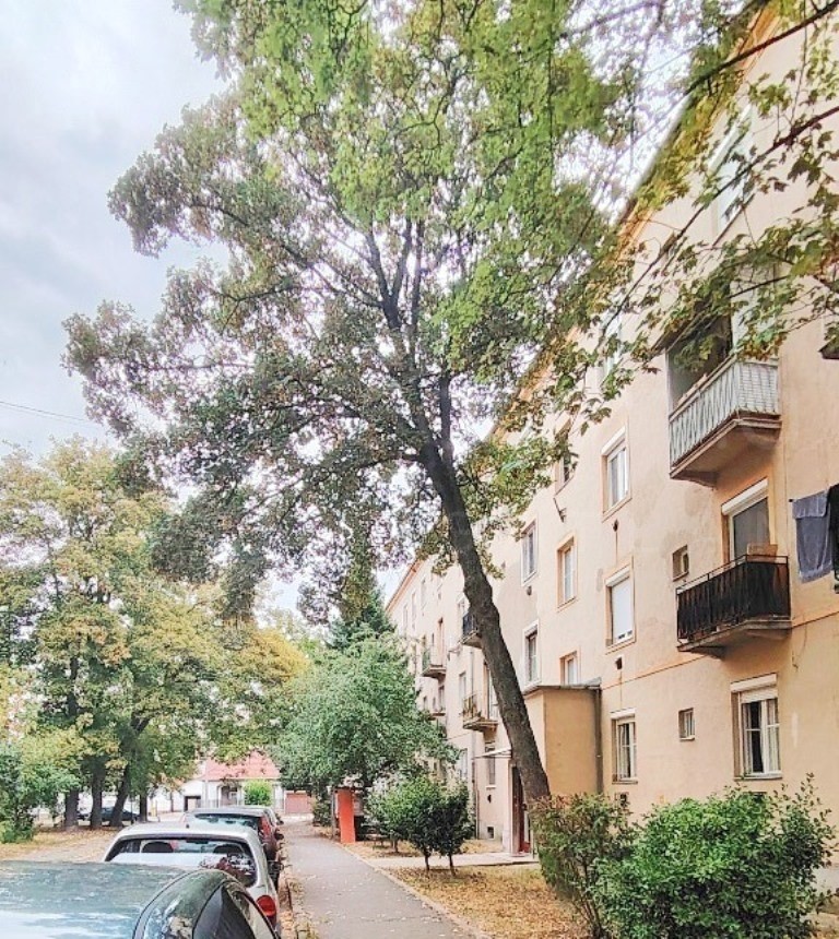 Eladó 1. emeleti